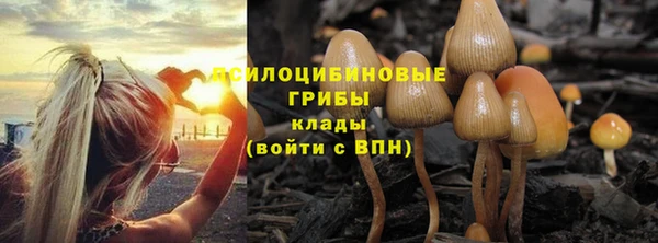 первитин Навашино