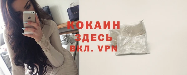 тгк Нея