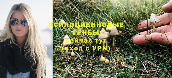 тгк Нея