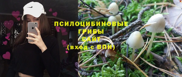 ПСИЛОЦИБИНОВЫЕ ГРИБЫ Нефтегорск