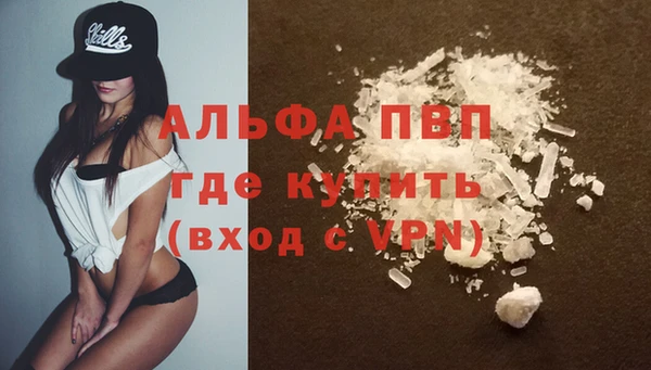 тгк Нея