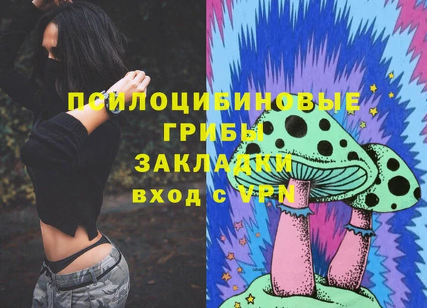 ПСИЛОЦИБИНОВЫЕ ГРИБЫ Нефтегорск